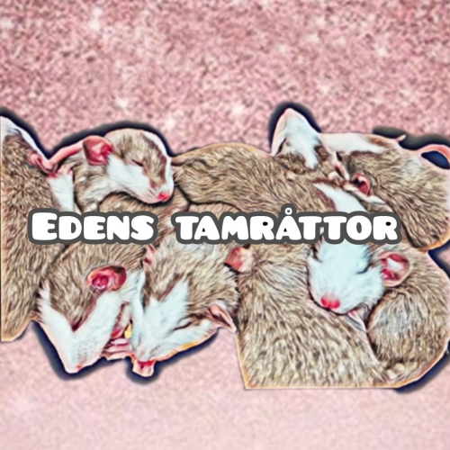 Edens tamråttor logotyp